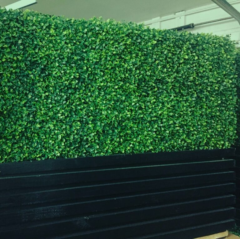 Hedge Wall