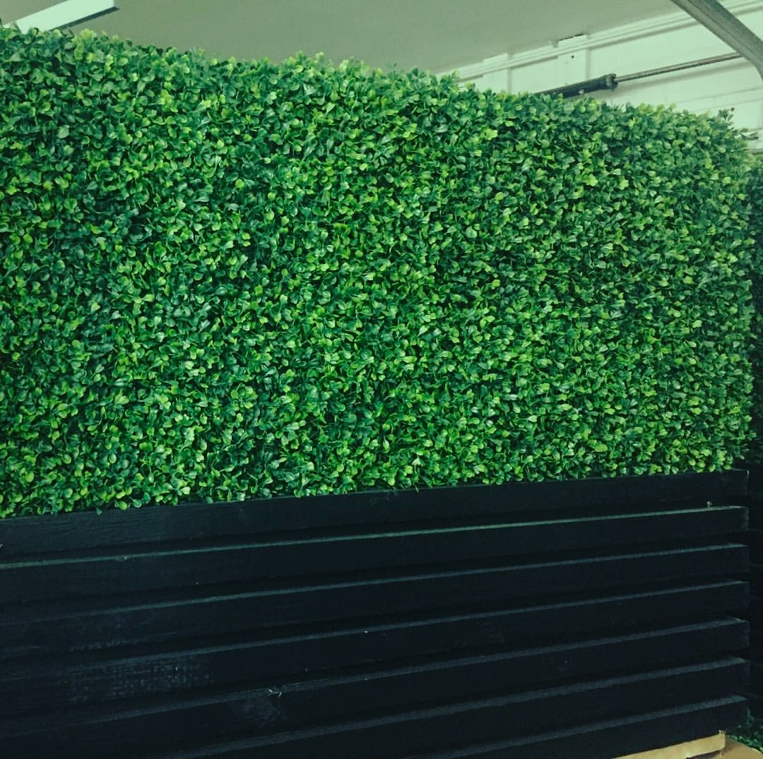 Hedge Wall